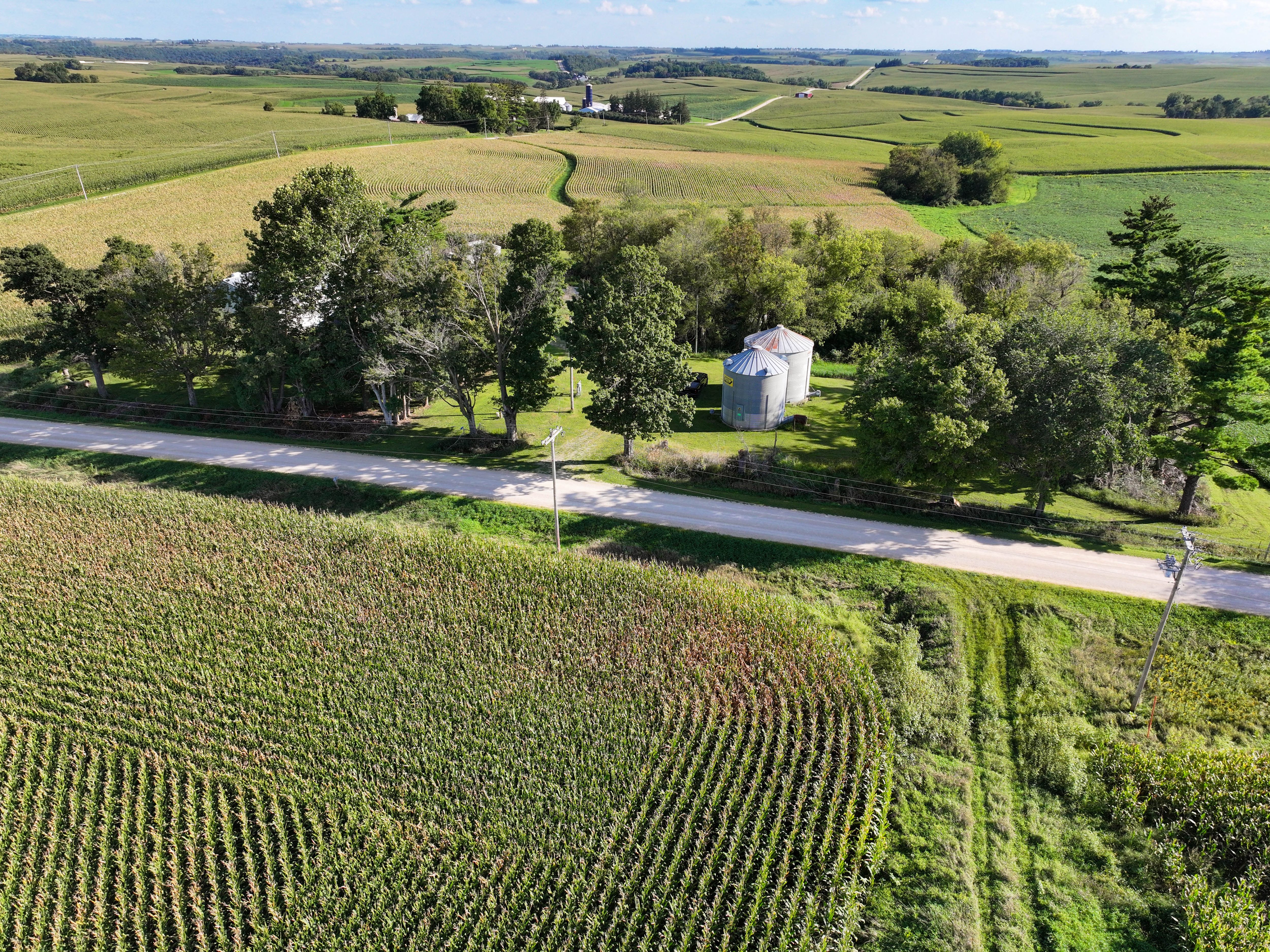 Listing Photo: 23-Postville IA Farmland Available